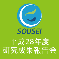 文部科学省委託事業 気候変動リスク情報創生プログラム「平成28年度研究成果報告会」