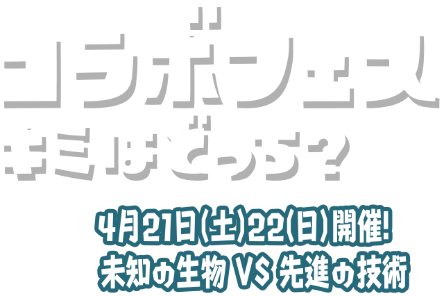 コラボフェス キミはどっち？