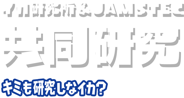 イカ研究所＆JAMSTEC 共同研究