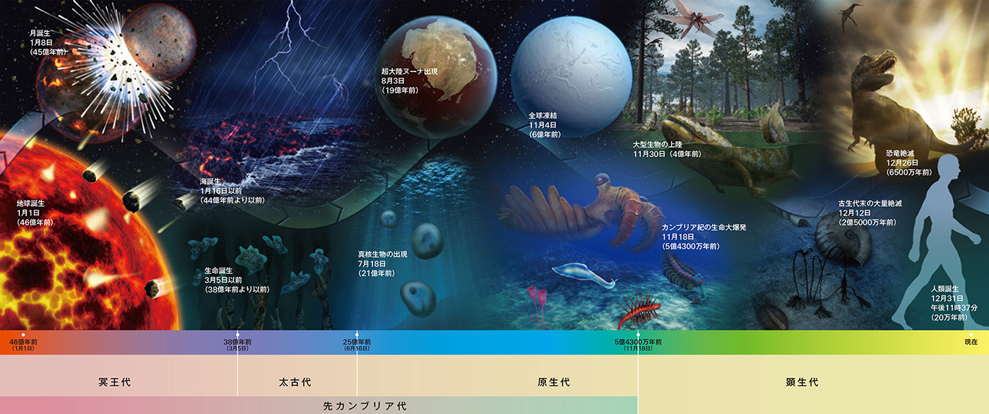 かわいらしい 不安定 解説 地球 最初 生物 - moonsilknasu.com