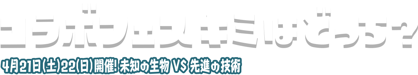 コラボフェス キミはどっち？