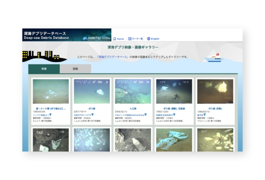 Deep-Sea Debris Database 
