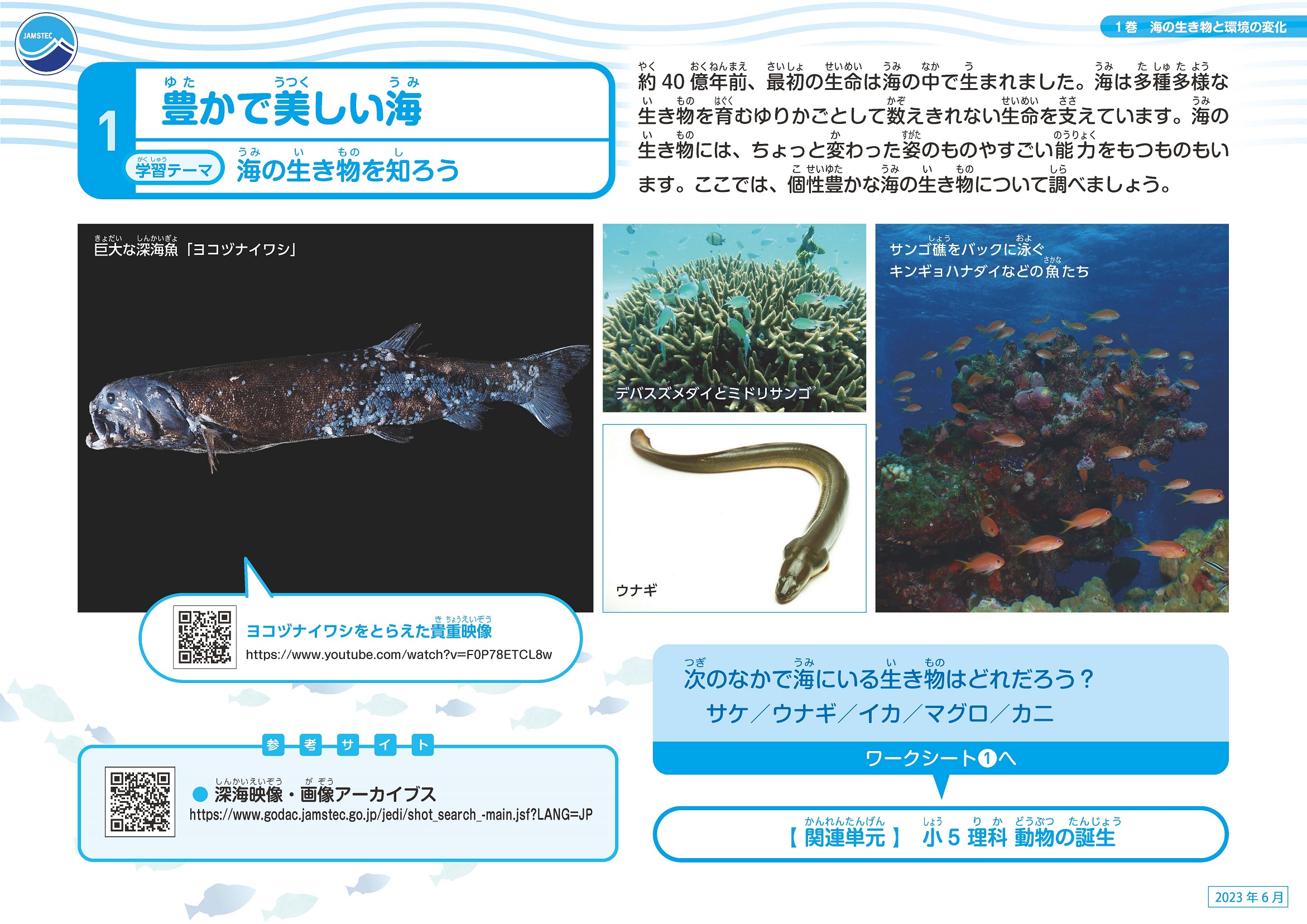 海の生き物と環境の変化スライド02
