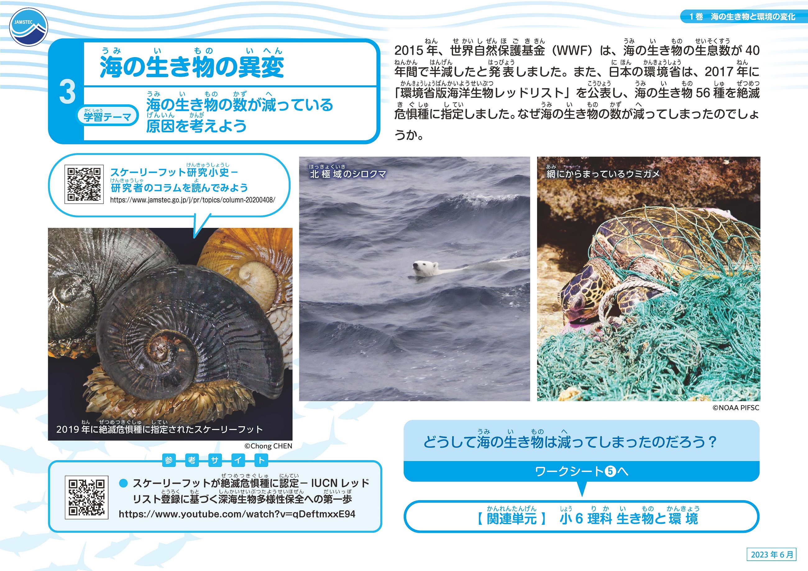 海の生き物と環境の変化スライド04