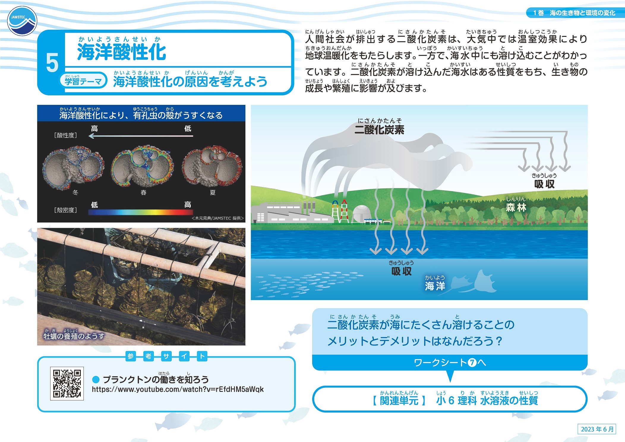 海の生き物と環境の変化スライド06