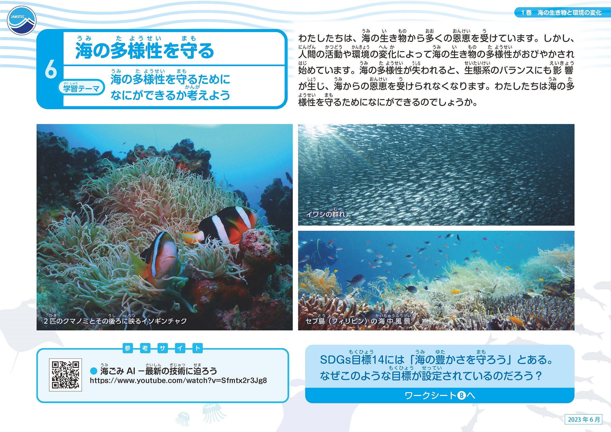 海の生き物と環境の変化スライド07