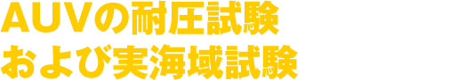 AUVの耐圧試験および実海域試験