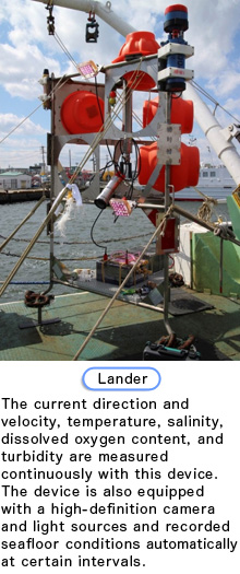 Lander