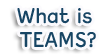 What is TEAMS?