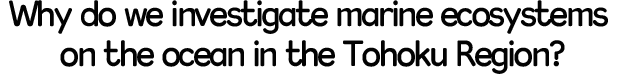 Why do we investigate marine ecosystems on the ocean in the Tohoku Region?