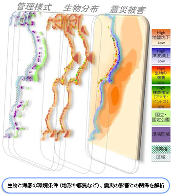 生物と海底の環境条件、震災の影響との関係を解析