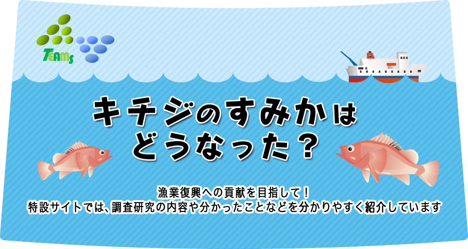 キチジのすみかはどうなった？