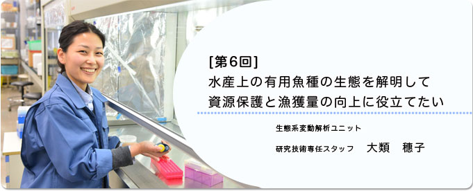  ［第6回］水産上の有用魚種の生態を解明して資源保護と漁獲量の向上に役立てたい 
              大類　穗子 生態系変動解析ユニット 研究技術専任スタッフ
              
                 