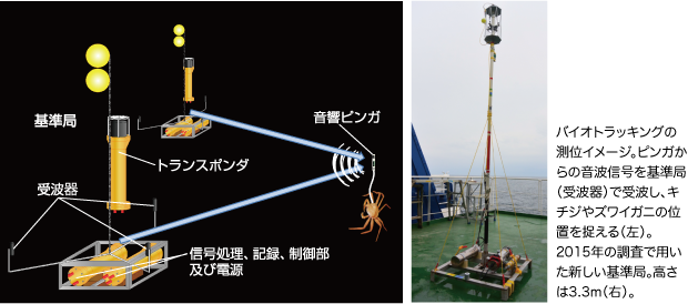 バイオトラッキングの測位イメージ。ピンガからの音波信号を基準局（受波器）で受波し、キチジやズワイガニの位置を捉える（左）。2015年の調査で用いた新しい基準局。高さは3.3m（右）。