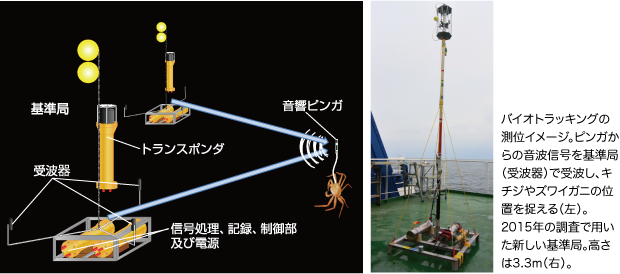 バイオトラッキングの測位イメージ。ピンガからの音波信号を基準局(受波器)で受波し、キチジやズワイガニの位置を捉える(左)。2015年の調査で用いた新しい基準局。高さは3.3m(右)。