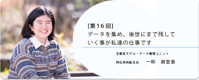  [ 第16回 ]データを集め、後世にまで残していく事が私達の仕事です 
              一柳　麻里香 生態系モデル・データ管理ユニット 特任技術副主任
              
                 