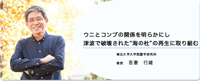 ウニとコンブの関係を明らかにし 津波で破壊された 海の杜 の再生に取り組む 東日本海洋生態系変動解析グループ