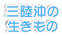 三陸沖の生きもの