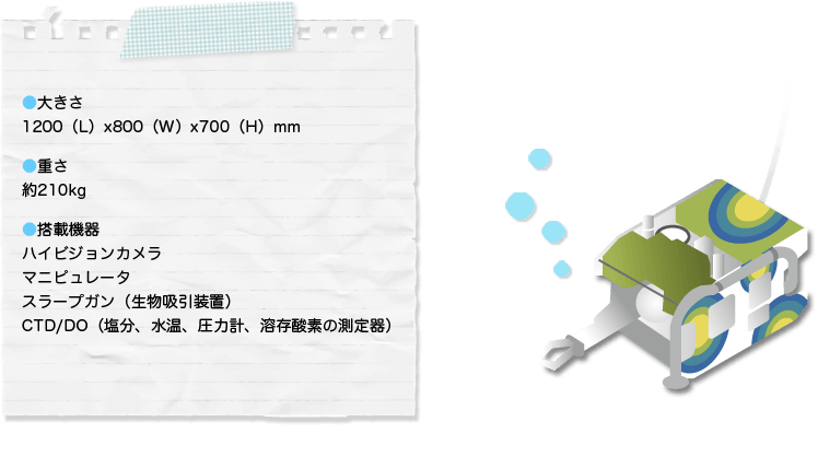 大きさ:1200(L)x800(W)x700(H)mm
重さ:約210kg
搭載機器:
ハイビジョンカメラ
マニピュレータ
スラープガン(生物吸引装置)
CTD/DO(塩分、水温、圧力計、溶存酸素の測定器)