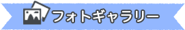 フォトギャラリー