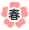 春